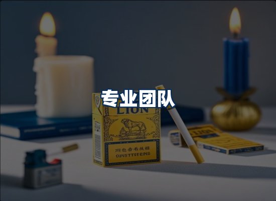 专业团队